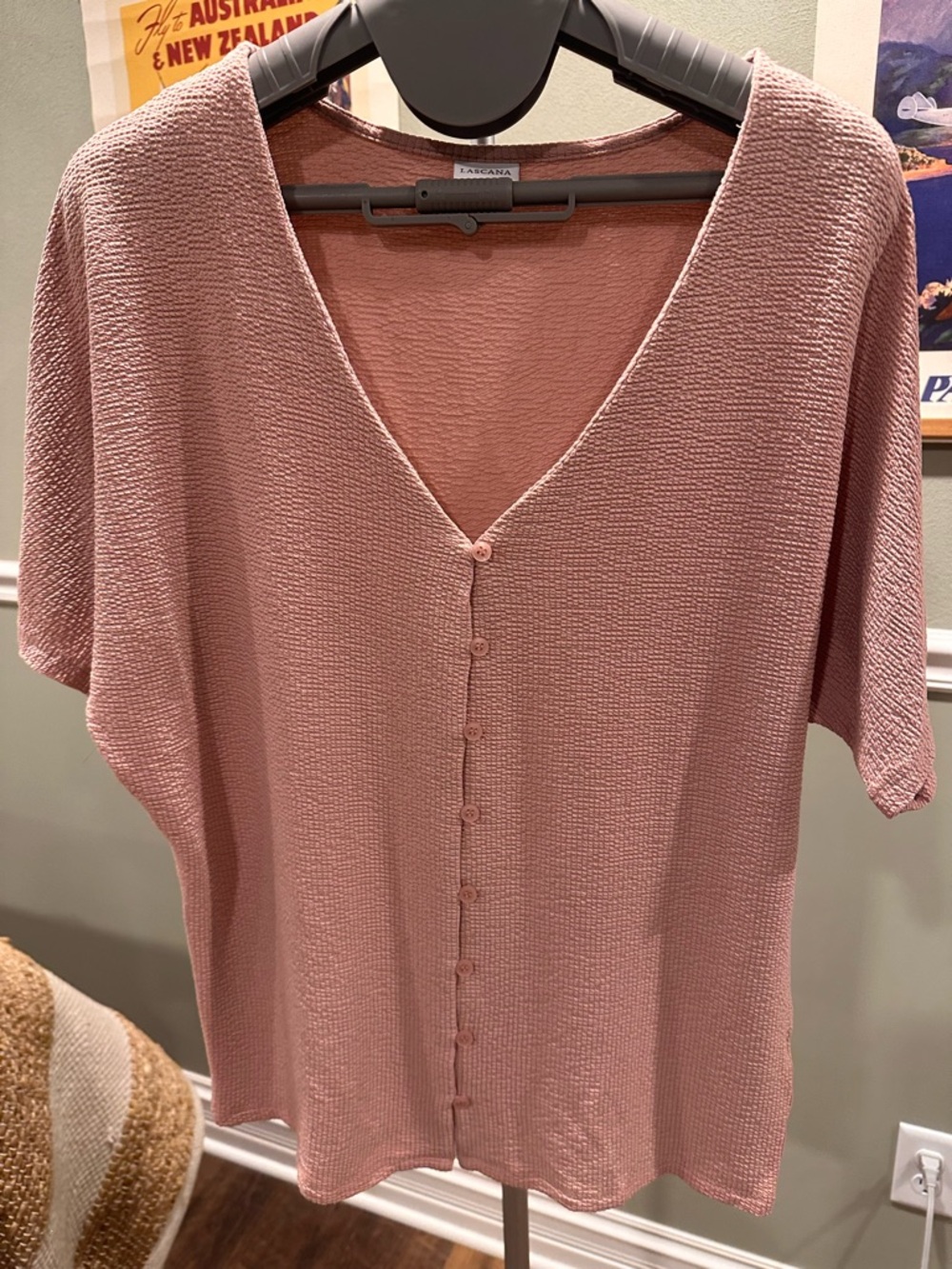 Button-Front V-Neck Blouse in Dusty Rose Size 0/2